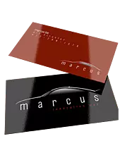 Glossy Visiting Cards