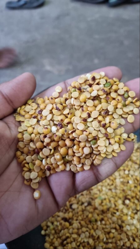 UnPolished Split Toor Dal