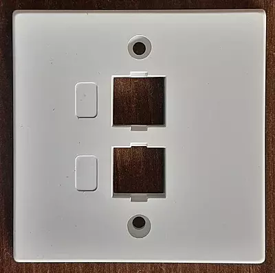 Delton Unshuttered Face Plates Dual Port (DLT-FPDWS)