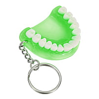 iDENTical Denture Key Chain – Dental-Themed Keychain