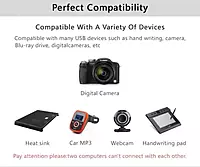 Champion USB to USB Cable | High-Speed USB Type-A Male to Male Cord for Data Transfer, Hard Drive Enclosures, Printers, Modems & Scanners
