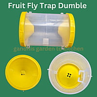 1 no - పండు ఈగ బుట్టలు | Fruit fly traps for veg and fruit gardens dumble type