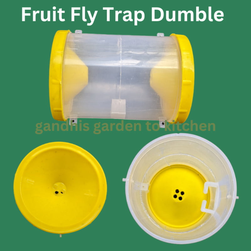 1 no - పండు ఈగ బుట్టలు | Fruit fly traps for veg and fruit gardens dumble type