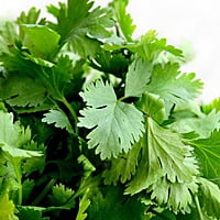 Coriander Seeds ధనియాలు విత్తనాలు Dhaniya (100gms, 500gms, 1kg)