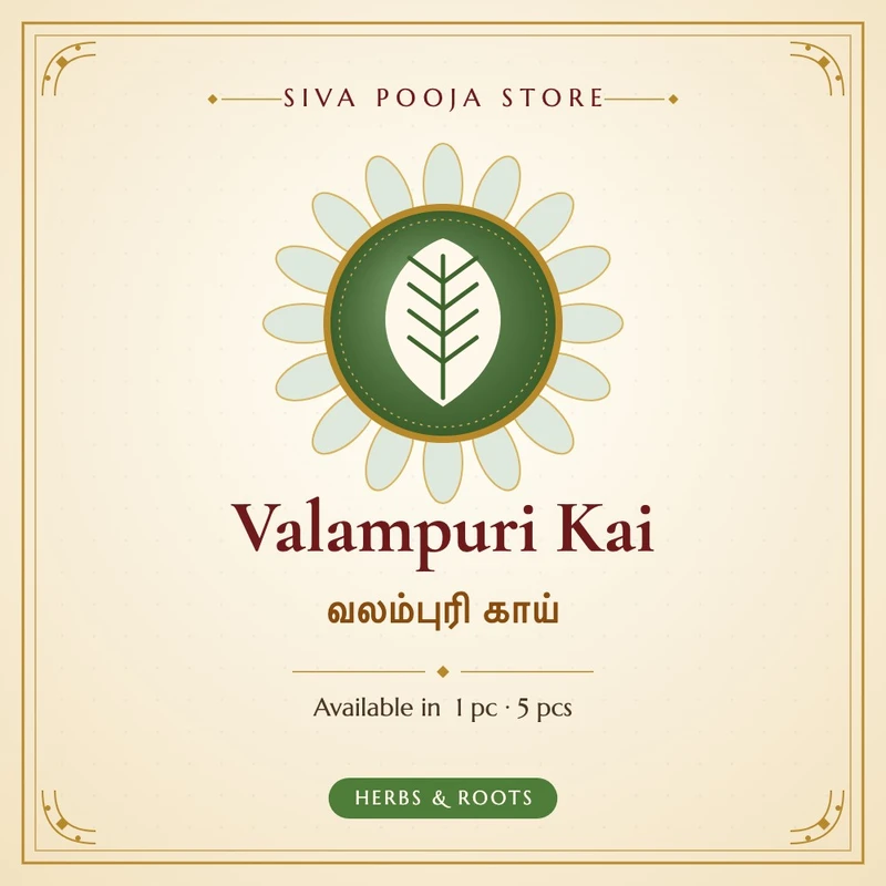 Valampuri Kai | வலம்புரி காய்