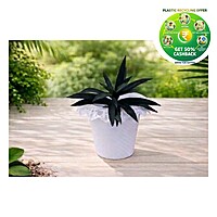 Valentine Plastic Plant Pot | 9 Inch | Decorative Garden Planter