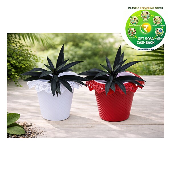 Valentine Plastic Plant Pot | 9 Inch | Decorative Garden Planter