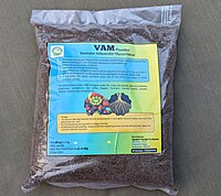 1Kg VAM (Vesicular Arbuscular Mycorrhiza) Root Growth Booster & Essential Fertilizer for all Plants | Soil Enhancer