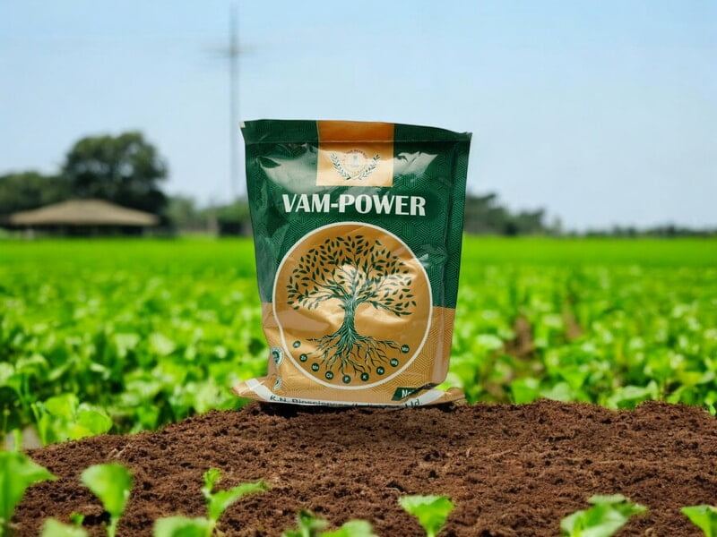 VAM Power | Best Mycorrhizal fungi in India