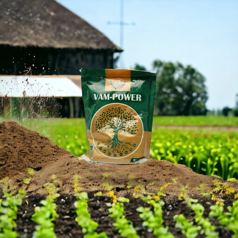 VAM Power | Best Mycorrhizal fungi in India