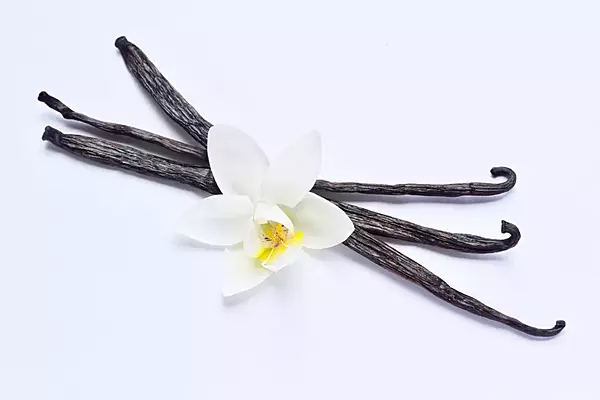 IFF – Vanilla Essence No.1