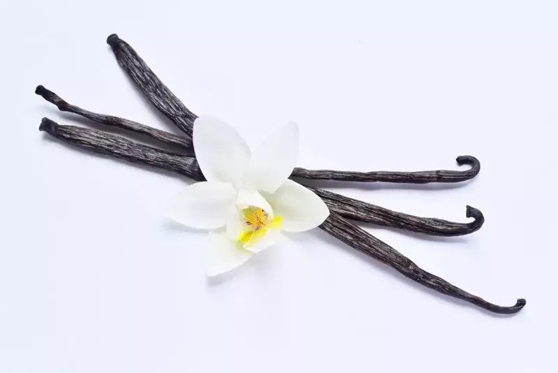 IFF – Vanilla Essence No.1
