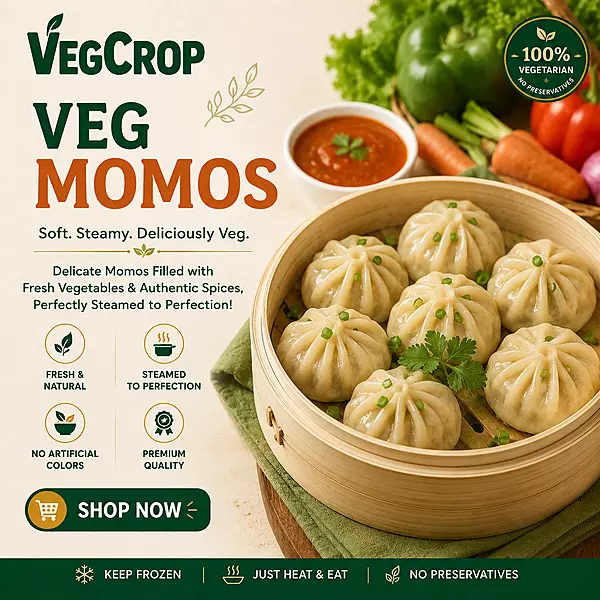 Frozen Veg Momos 30g X 33 Pieces