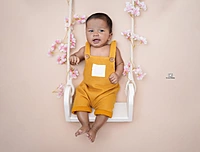 Newborn Swing