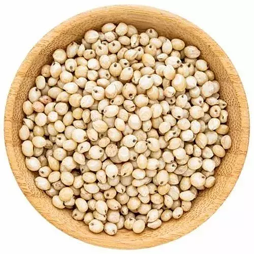 Vellaisollam
What Sorghum