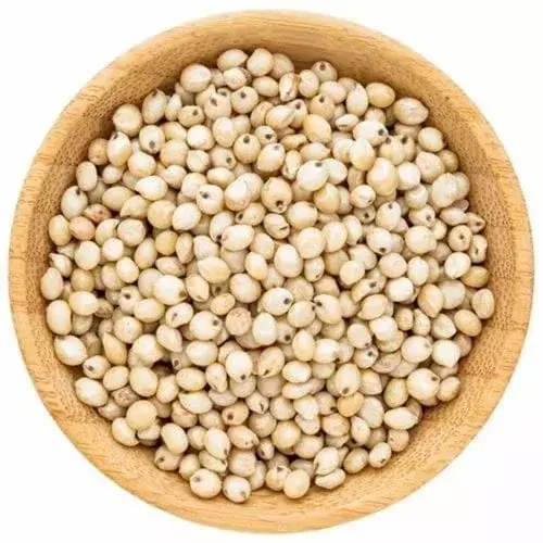 Vellaisollam
What Sorghum