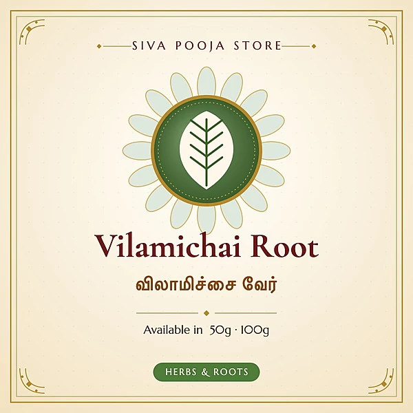Vilamichai Root | விலாமிச்சை வேர்