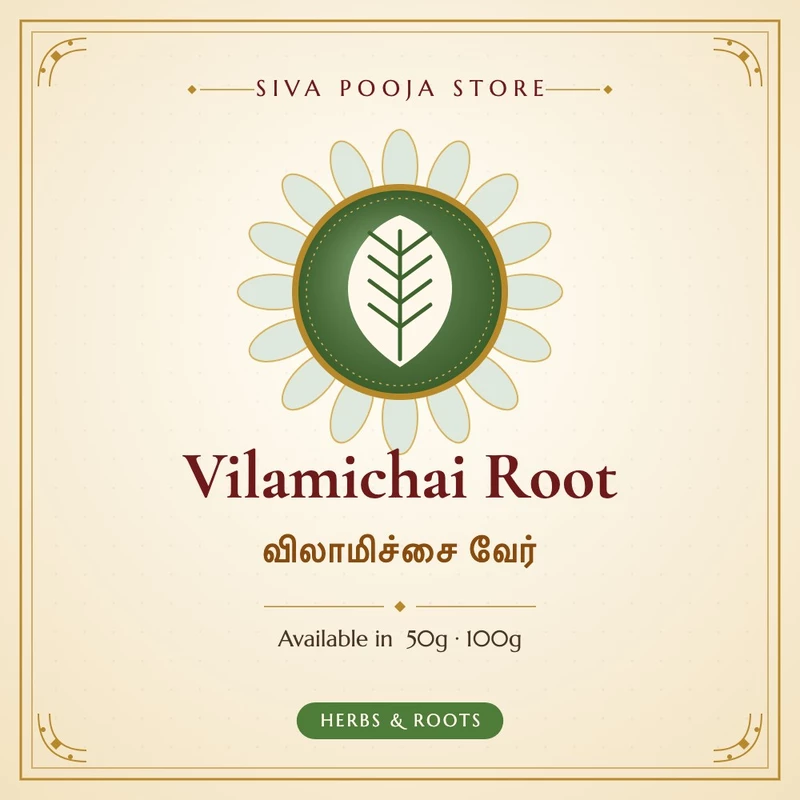 Vilamichai Root | விலாமிச்சை வேர்