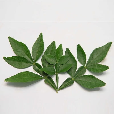VILVAM ILAI / BAEL LEAF POWDER