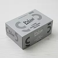 Palam Padlock Double Lock (95) Series