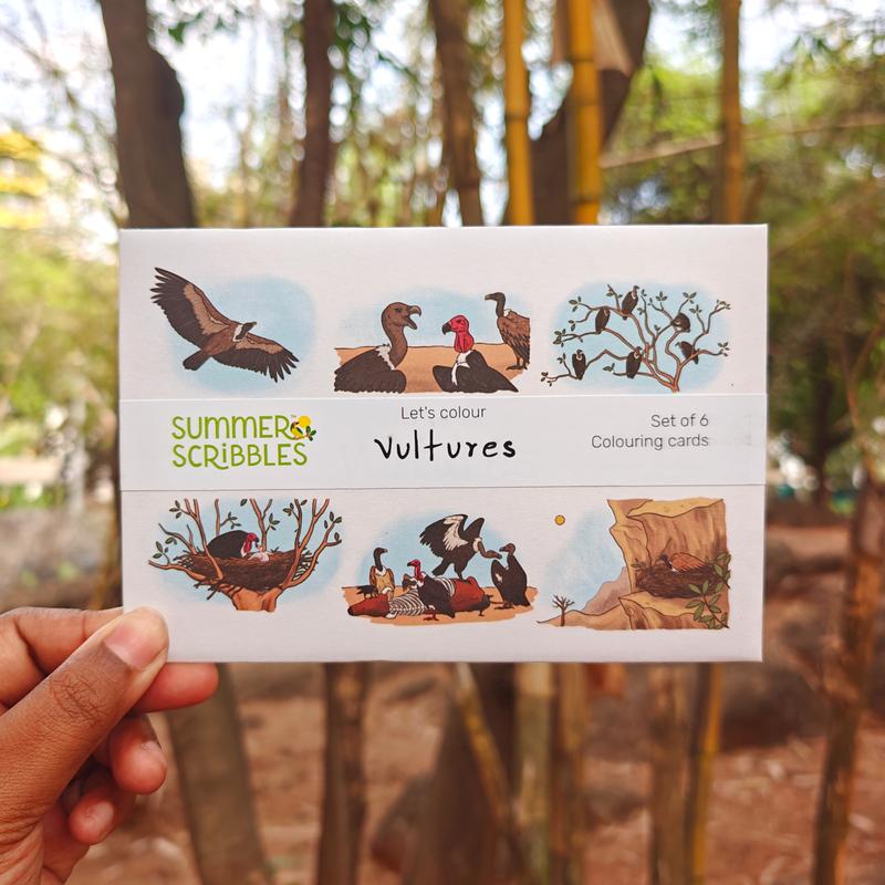 Vulture Colouring Cards set of 6