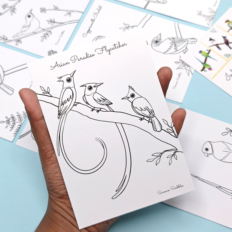 Indian Birds Colouring cards