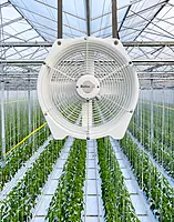 Climate Control System Financing (Cooling, Fogging, Ventilation)