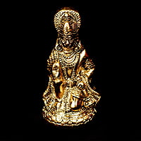 Hanuman Gold Idol Hanuman Gold Idol