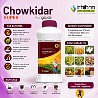 Ichiban Chowkidar SUPER Fungicide | Vetrivel Agro Services