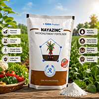 TATA Rallis NAYAZINC™ – Next-Generation Zinc Fertilizer | Vetrivel Agro Services