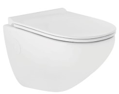 Western Toilet Repair (wall mounted)