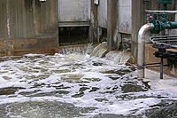 Treated Water Quality Testing & Regulatory Compliance Monitoring