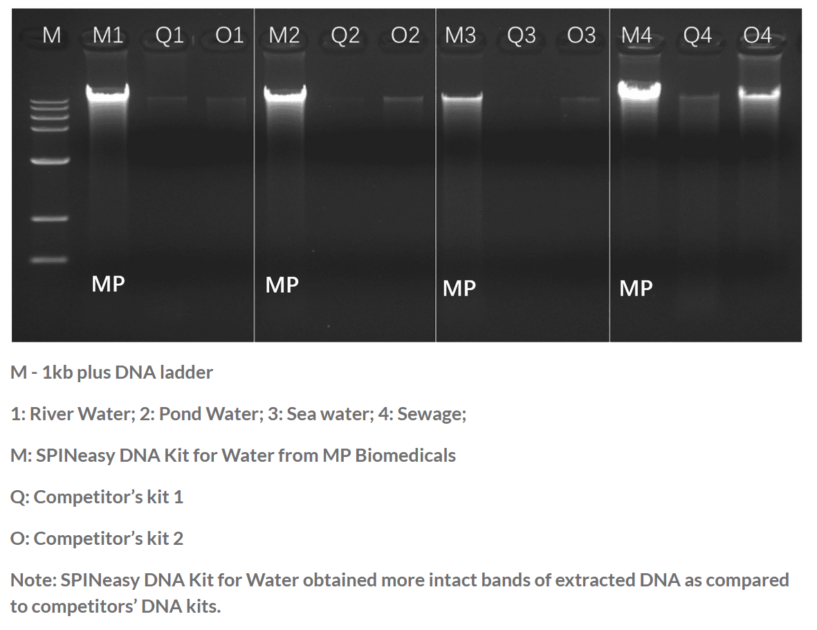 SPINeasy® DNA Kit for Water 50preps MP