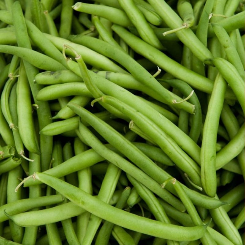French Beans ఫ్రెంచ్ బీన్స్ 12-15 seeds