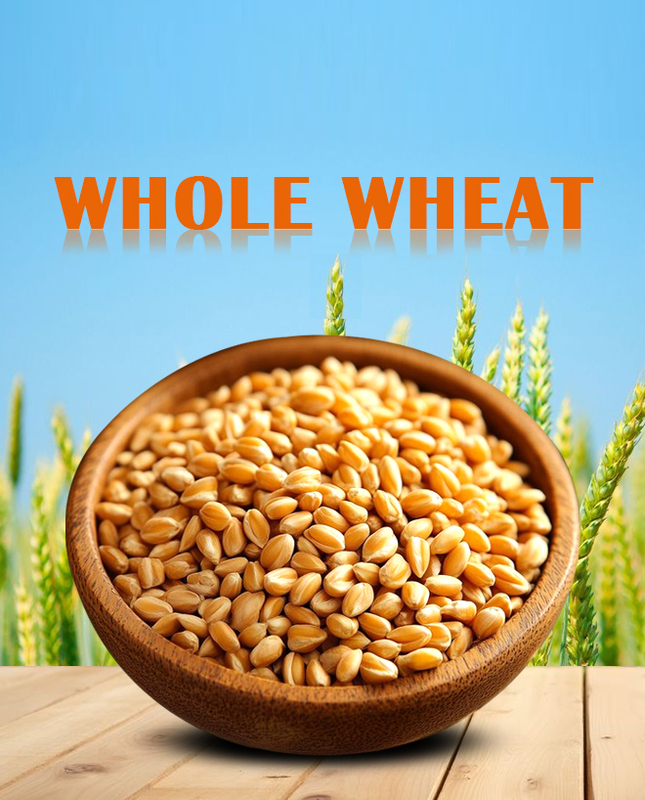 Whole Wheat