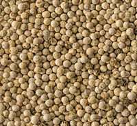 White Pepper