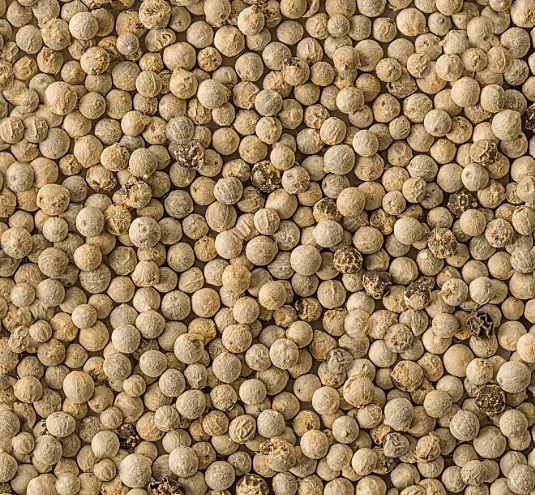 White Pepper