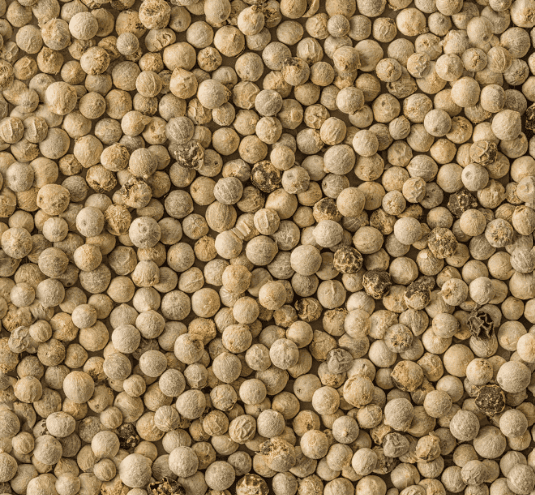 White Pepper