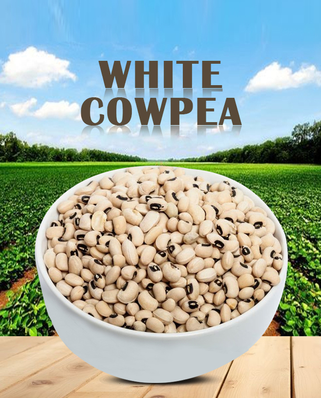 White Cowpea - Kaaramani