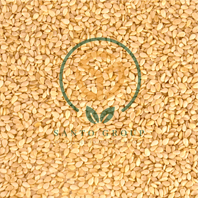 Sesame Seeds-White