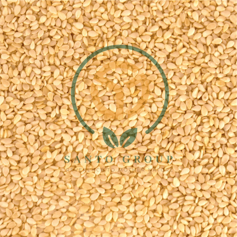 Sesame Seeds-White