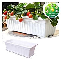 Premium Window Box Planter – Rectangular Pot (White)