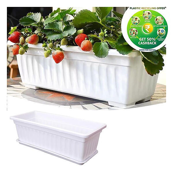 Premium Window Box Planter – Rectangular Pot (White)