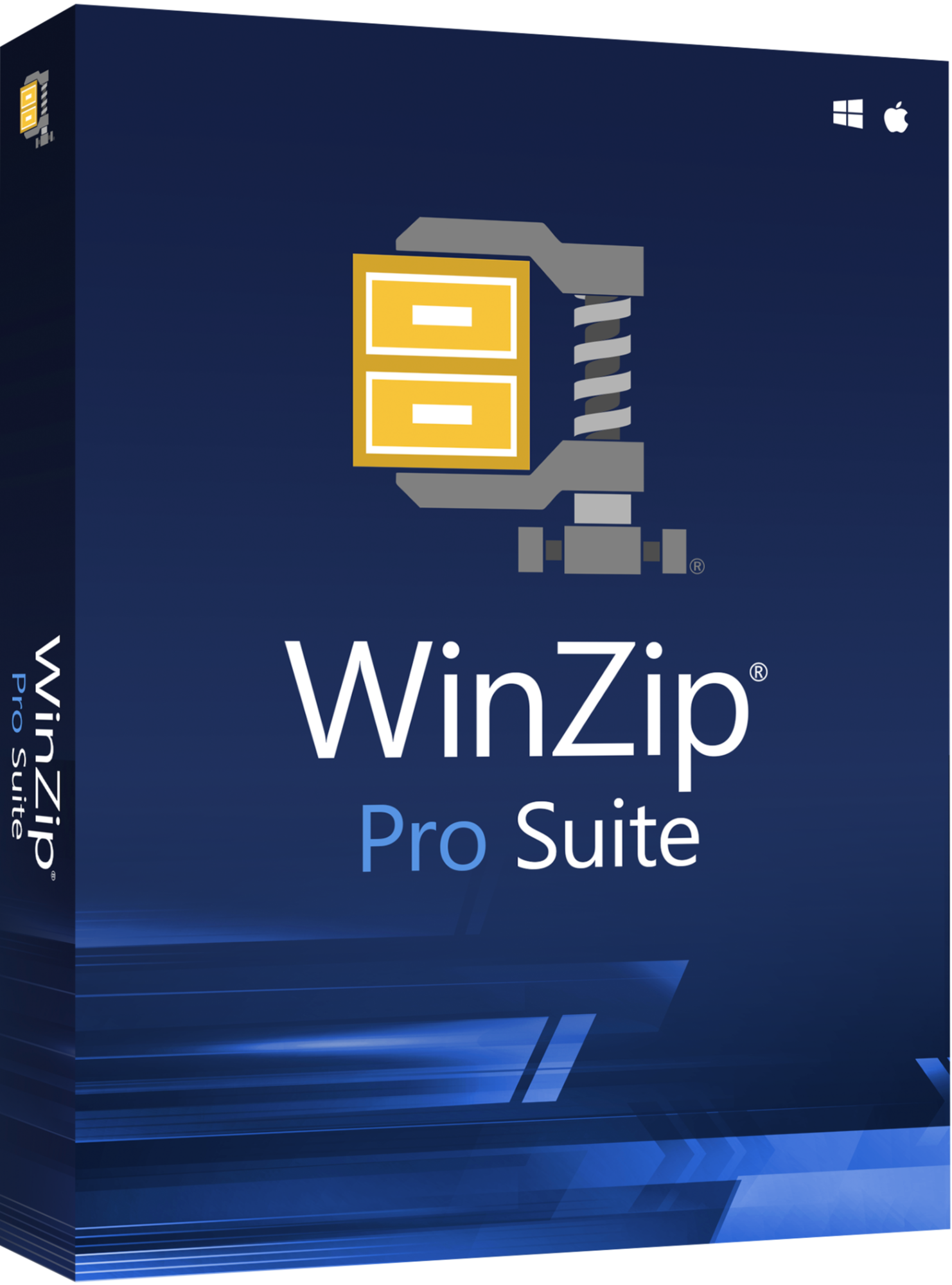 Winzip Professional Suite (1 year subscription) (1 user) price per user License Only ESD
