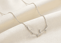 925 Silver Enchanted Branch Necklace