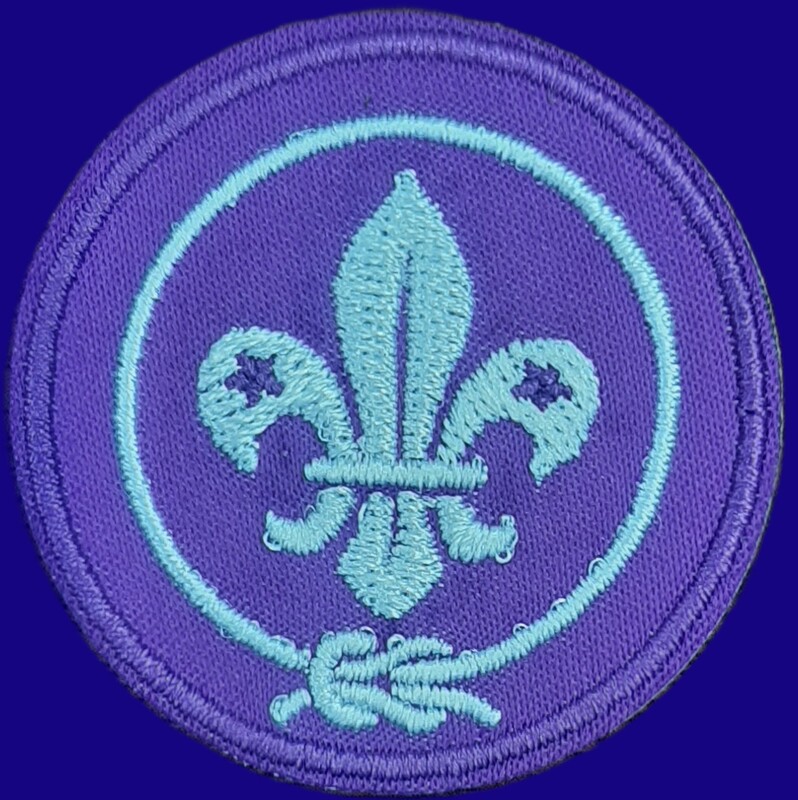 World Scout Badge Emb (With Gumming)