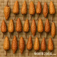 Surface texture of South Indian curd chillies sun dried Worth2Deal