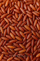Close-up of parboiled Kerala brown rice grains – Worth2Deal.com