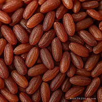 Macro close-up of Kerala organic brown rice grains showing bran texture – Worth2Deal