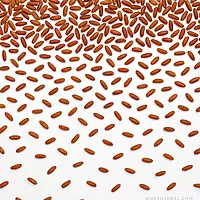 Flat-lay texture of organic Kerala brown rice – Worth2Deal.com watermark